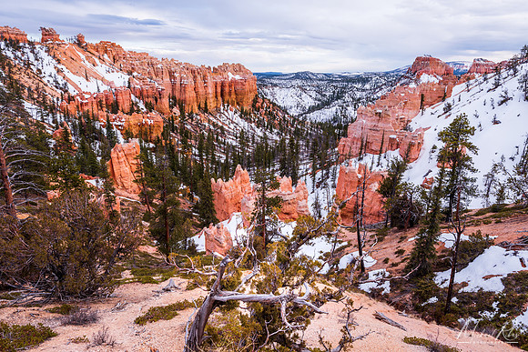 Bryce NP (2019)
