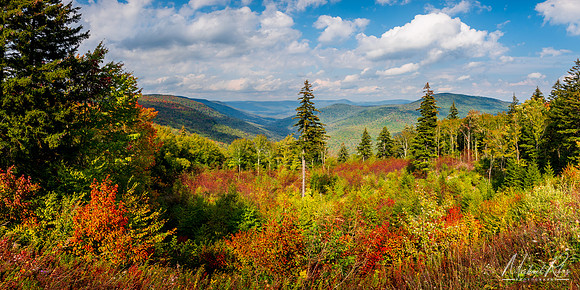 Highland Scenic Highway Vista (2021)