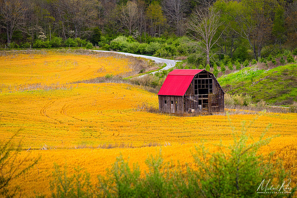Barn in Golden Field (2020)
