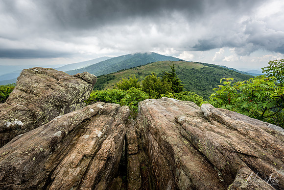 View westward from Jane Bald (2022)