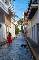 Cat Alley, San Juan (2025)