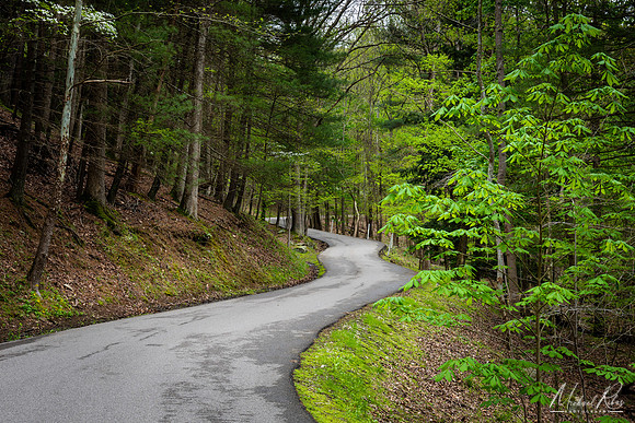 North Bend Park Road (2019)