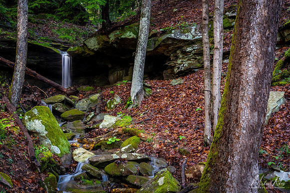 Small Creek in Spring (2019)