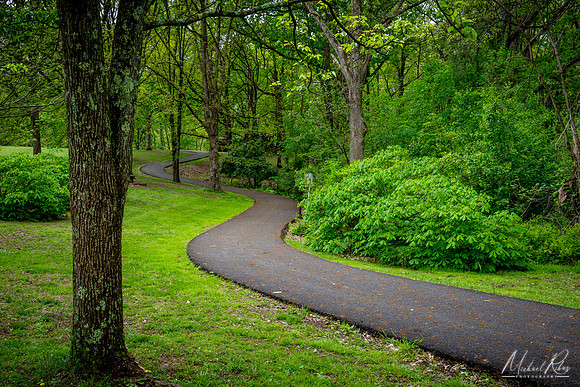 Paved Trail (2019)