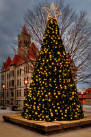 The Christmas Tree (2024)