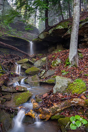 Spring Creek (2019)