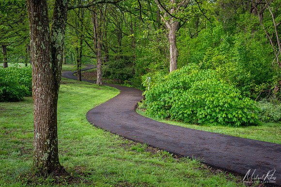 McDonough Paved Trail in Spring (2019)
