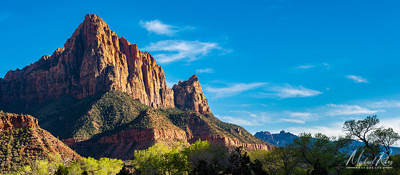 The Watchman, Zion (2019)