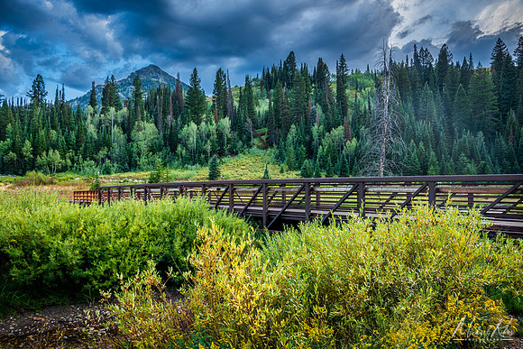Wasatch Mountains After the Storms (2024)