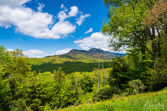 Grandfather Mountain in Spring (2019)