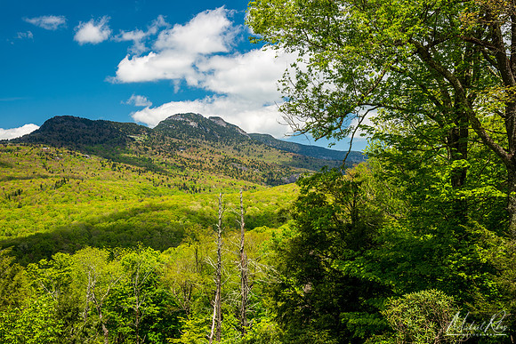 Grandfather Mountain in Spring (2019)