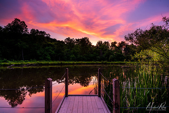 A Tranquil Evening (2019)