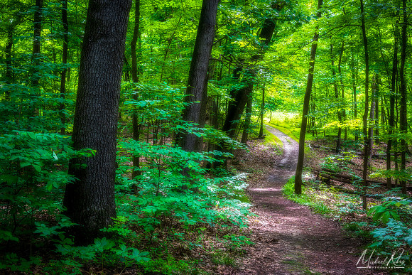 McDonough Trail (2019)