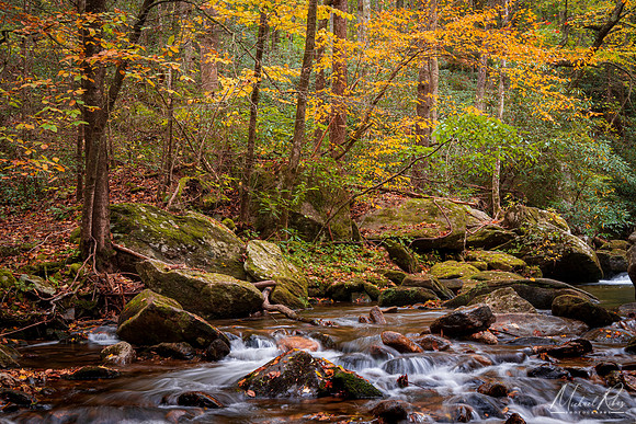 Autum Stream at South Mountains State Park (2021)