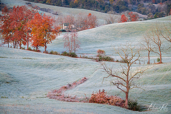 November Morning (2021)