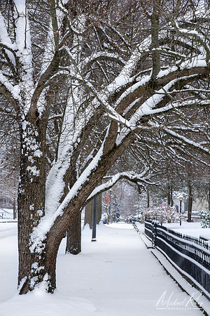 Fresh Snow (2024)