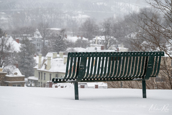 Winter Park Bench (2024)