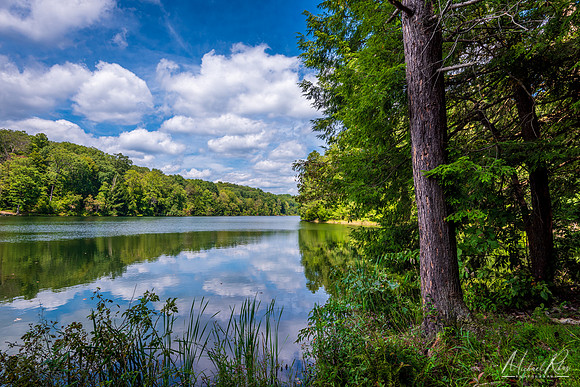 Rose Lake at Hocking Hills (2019)