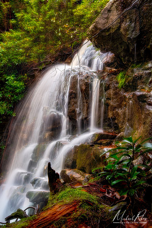 Falls Run Waterfall (2019)