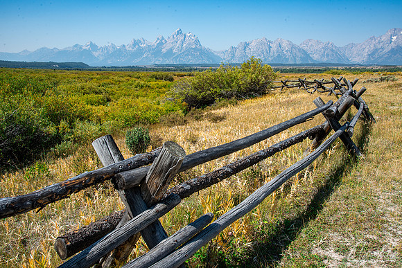 Fence and Grand Tetons (2024)