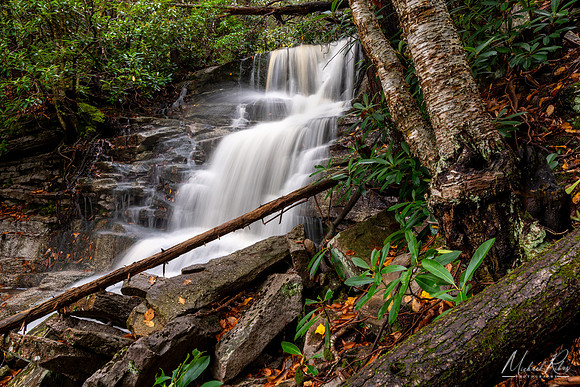 Falls Run Waterfall (2019)