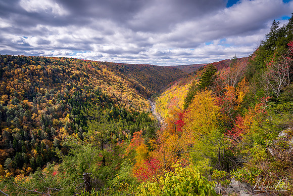 Blackwater Canyon in Fall (2019)
