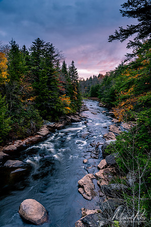 Blackwater River Early Morning (2019)