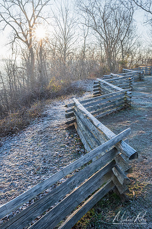 Frosty Morning (2024)