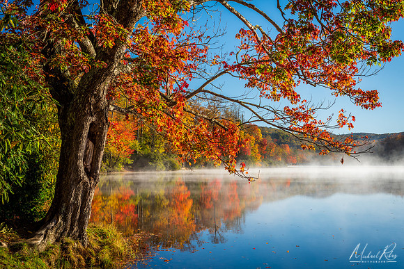 Morning on Price Lake (2019)