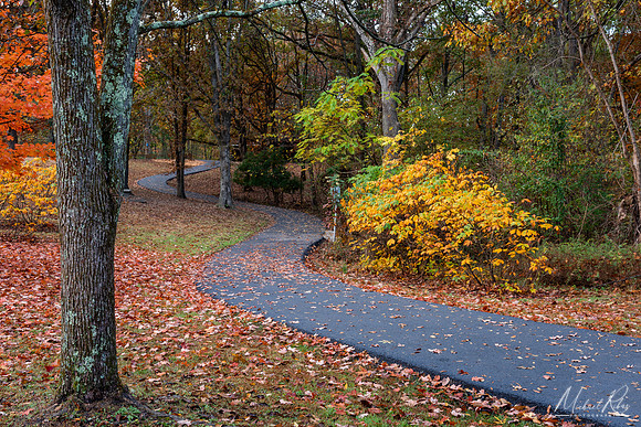 Mcdonough Park (2019)