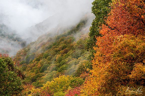 Canyon and Fog (2019)