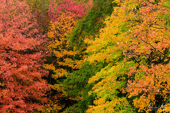 October Rainbow of Color (2019)