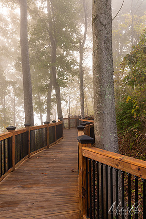 Fort Boreman Boardwalk (2019)