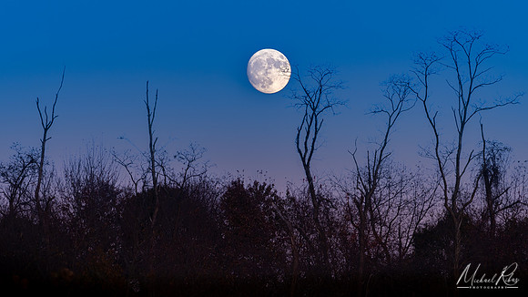 November Full Moon (2019)