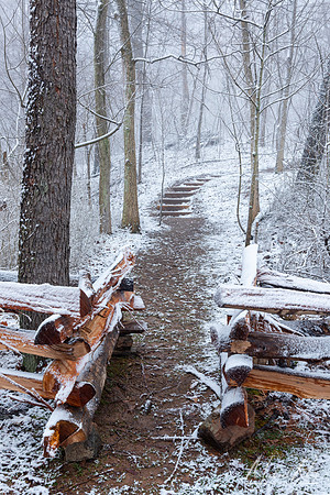 Winter Trail (2024)