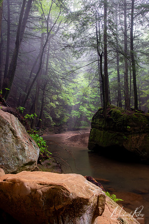 Mist and Rain in Hocking Hills (2024)