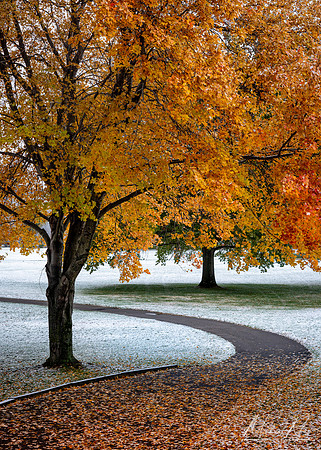 Maples and Snow (2019)
