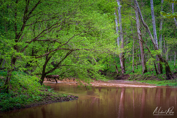 Hughes River at North Bend (2019)