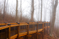 Fort Boreman Boardwalk (2020)