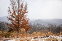 Snow Falling (2020)