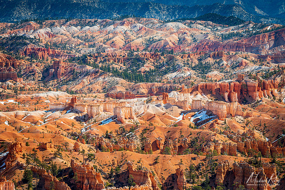 Bryce Landscape (2019)