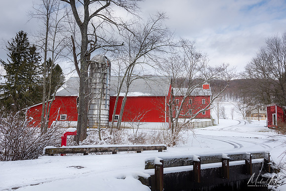 Farm (2020)