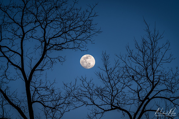 February Moon (2020)