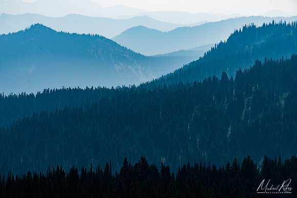 Mt. Rainier Foothills (2017)