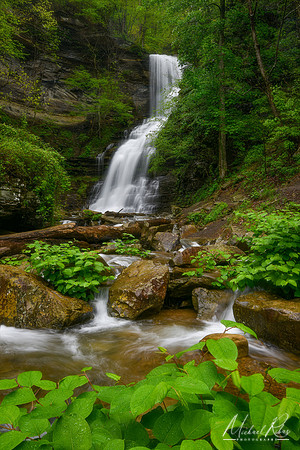 Cathedral Falls (2020)