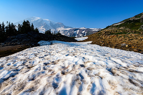 Summer Snow Filed at Mt. Rainier.