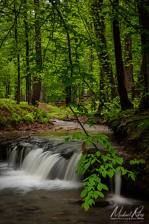 Mountwood Stream and Waterfall (2020)