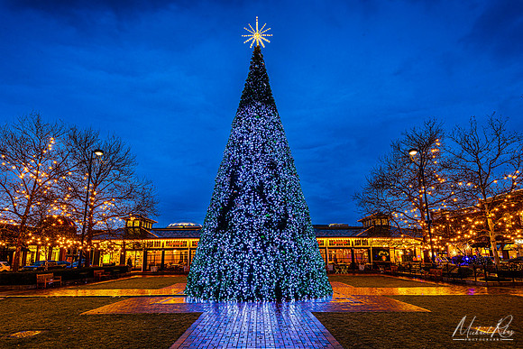 Christmas Tree at Easton (2021)