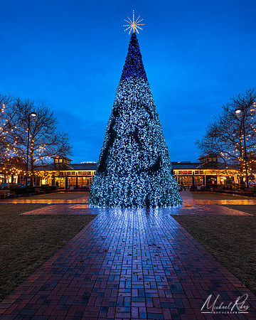 Christmas Tree at Easton (2021)