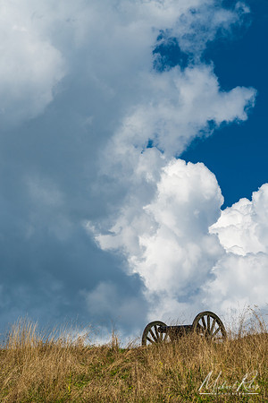 Fort Boreman Cannon (2020)